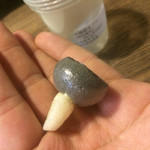 SHOKUDO YArn - 未確認キノコ。