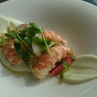 THE COSMOPOLITAN GRILL BAR TERRACE - 赤海老のカクテル、アボカドクリームと秋の根菜、豆苗添え