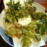 そばきり 萬屋町 助六 - 天ざるの天ぷら（本日は山菜）