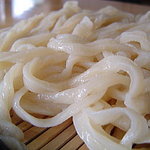 純手打ちうどん 利休  - うどん　アップ