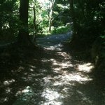 田楽茶屋 洗心亭 - お店から出た小路