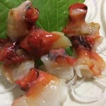 あじ亀 - アップ