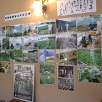 Shikikoyomi - 仕入農家の写真がずらり