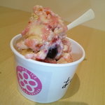 木花・桜 - ダブルベリーソイフルト　164キロカロリー