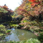 西源院 - 庭園を眺めながら