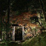 かなざわ玉泉邸 - 玉泉園