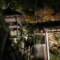 かなざわ玉泉邸 - 玉泉園
