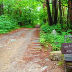 たび茶 - 店への小道