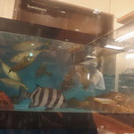 ご馳走家 むつごろう - カウンター席の奥にはいけすがあります