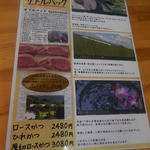 とんかつ 栄ちゃん - 純粋サドルバック