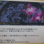 とんかつ 栄ちゃん - サドルバック説明③