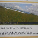 とんかつ 栄ちゃん - サドルバック説明②