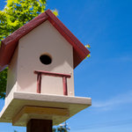 カフェ・ル・プティ・ニ・トロワ - 巣箱