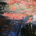 おんたき茶屋 - 