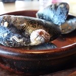 ピッツェリア カンテラ - フジツボー！