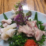 らんまん - かわはぎ