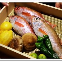 のどぐろ専門 銀座 中俣 - 