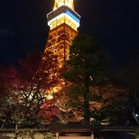 東京 芝 とうふ屋うかい - 