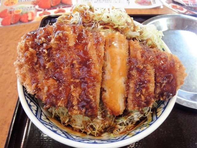 閉店 とんかつ 坂井精肉店 野田店 愛宕 とんかつ 食べログ