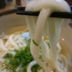 Magokoro Kicchi Mminami - 麺アップ