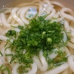 Magokoro Kicchi Mminami - うどん あつあつ