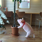 かつサンド工房 PANTON - 