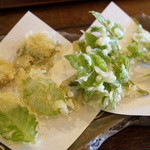 徳山鮓 - 山菜の天麩羅（雪の下、いねたばこ、うど、くさぎ）