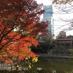 マルミヤ食堂 - ビルだがんっ！！！ｗ（天王寺公園から）