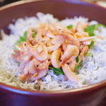 大森 茶々 - 桜海老しらす飯
