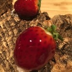 フロリレージュ - 