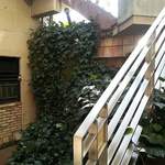 JAZZ茶房 青猫 - 階段を降りて