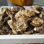 浦村カキ 英治丸 - 詰め放題