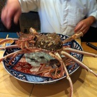 初音鮨 - 