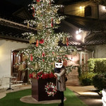 横浜うかい亭 - 