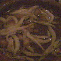 白金Baru - 