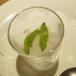 TAKAO - エルダーフラワー、グラニータ