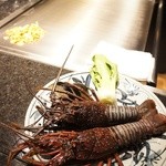 日本料理　彩 - 活けイセ海老