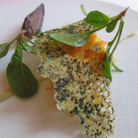ラ・トゥーエル - 的鯛のソテー　ちりめんキャベツ　京にんじん