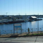 ミサキ イタリアーノ ボッカ - 窓から見える三崎港