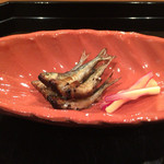 壽山 - 秋田のモロコ