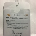 花のババロア ハバロ - 花の種付♪