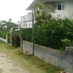 チャンプルー食堂 - チャンプルー食堂の外観です。