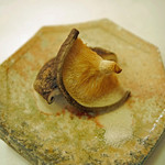 赤坂 詠月 - 大分県産の大判椎茸