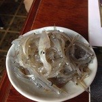 白菊 - 生シラスの中にイカ