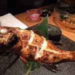 ろばた 翔 - これこれ！