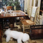 ヴァカンツァ -  Grazie mille!!