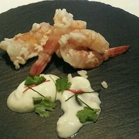 Wattle Tokyo - 