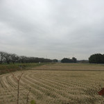 太田屋 - 鰻屋からの風景