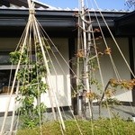 すし食いねぇ！ - さすがは富山県です。雪つりです。