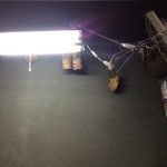 甘党ゆかり - 照明はむきだしの蛍光灯♪